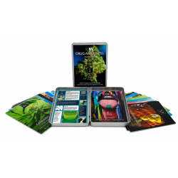 D&Wp Drug Awareness Flash Cards - Sets 1 & 2