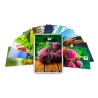 D&Wp Drug Awareness Flash Cards - Sets 1 & 2