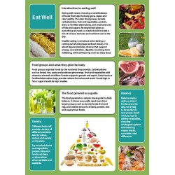 D&Wp Drug Awareness Flash Cards - Sets 1 & 2