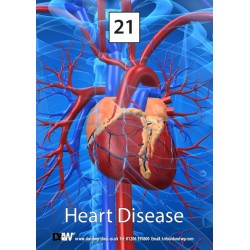 D&Wp Drug Awareness Flash Cards - Sets 1 & 2