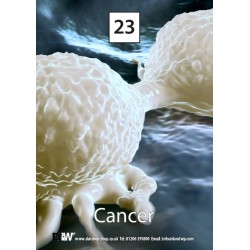 D&Wp Drug Awareness Flash Cards - Sets 1 & 2